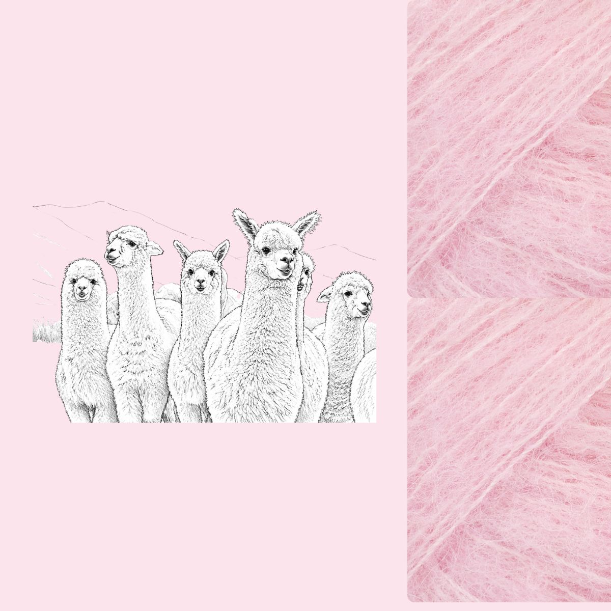 Alpaca wol
