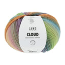 Lang Yarns Cloud 0021 Blue/Orange/Green/Pink