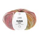 Lang Yarns Cloud Funky 0024 Brick Red/Eggplant/Ivory/Pink