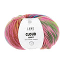 Lang Yarns Cloud Funky 0027 Pink/Blue/Light Green/Fuchsia