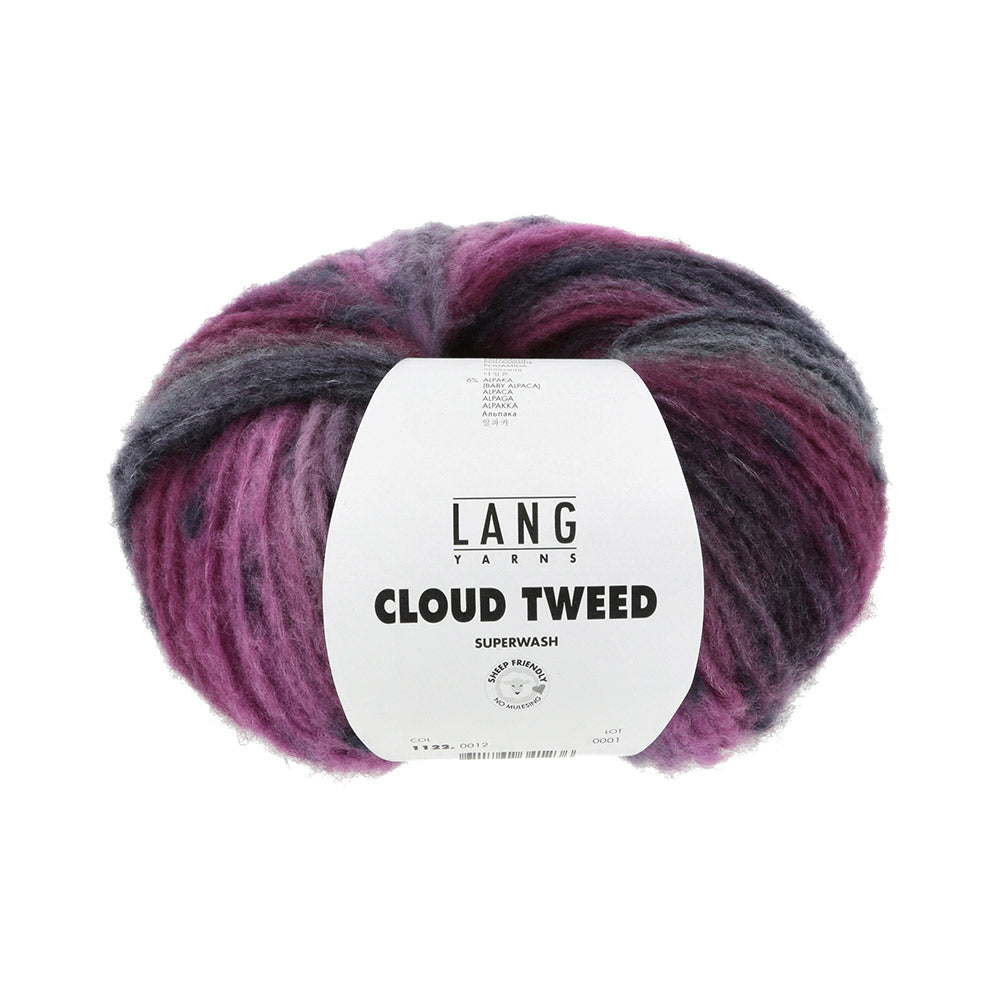 Lang Yarns Cloud Tweed 012 Fuchsia/Aubergine/Petrol