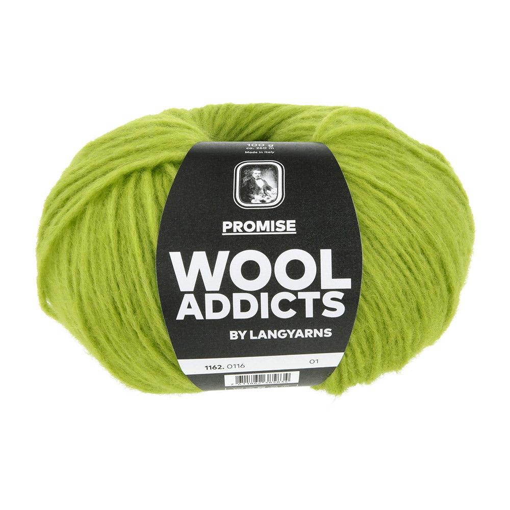 Lang Yarns Promise 116 Matcha - bol garen van voren