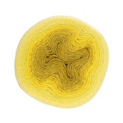 Scheepjes Whirl Ombre 551 Daffodil Dolally