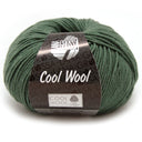 Lana Grossa Cool Wool 2021 Donkergrijs Groen