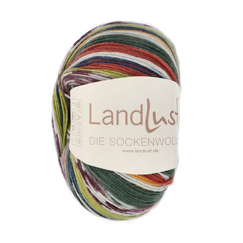 Lana Grossa Landlust Die Sockenwolle 708