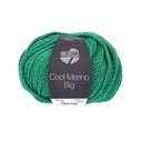 Lana Grossa Cool Merino Big 226 Lentegroen
