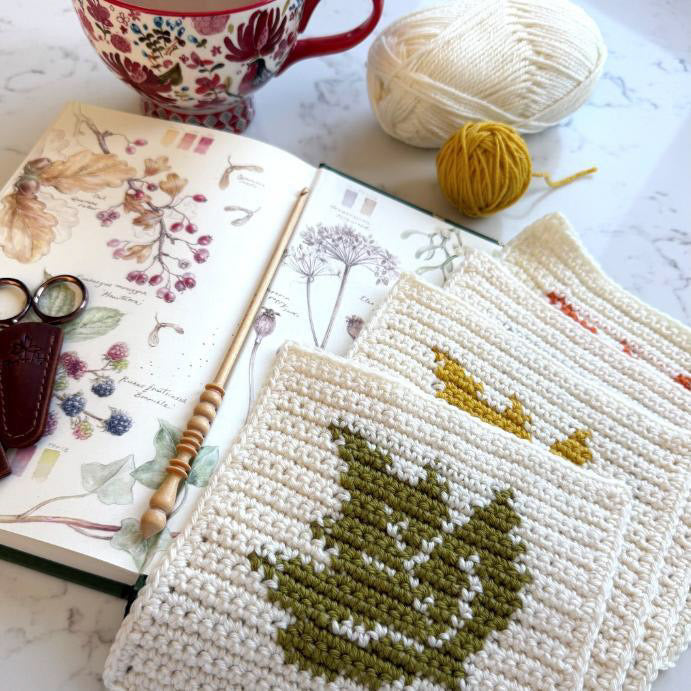 Stylecraft Autumn CAL - Love Letters to Autumn - MadebyAnita Misty Moors Special DK Yarn Kit