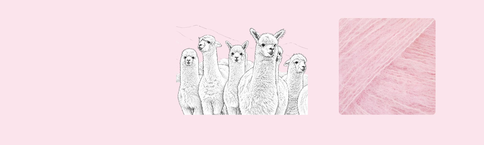 Alpaca wool
