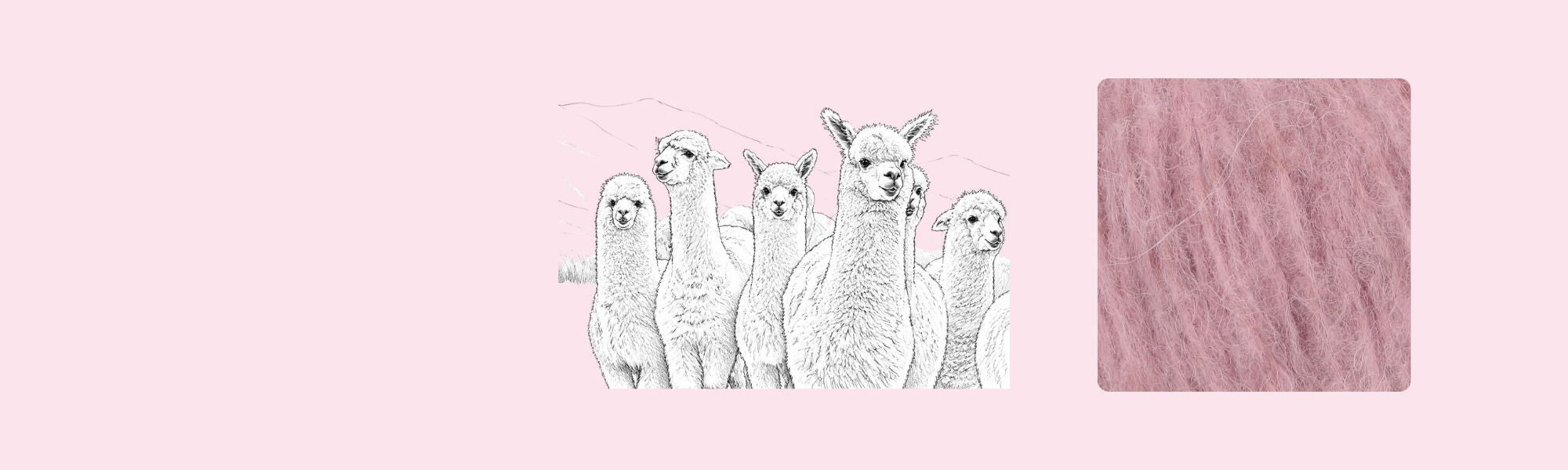 Lama wool