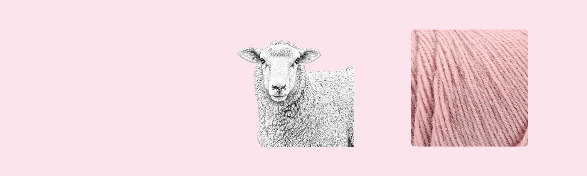 Sheep's Wool