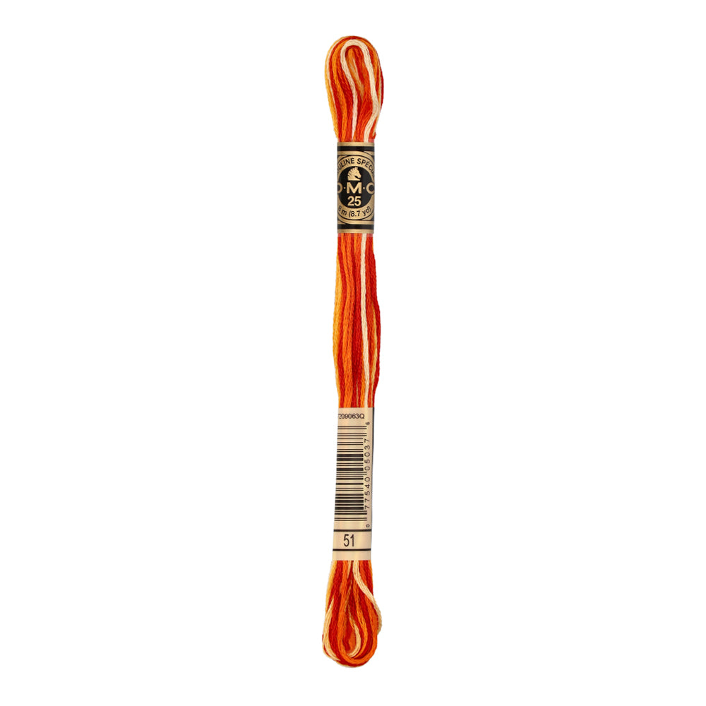 DMC 117MC Mouliné Spécial Borduurgaren 8m 51