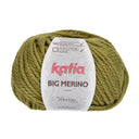 Katia Big Merino 018 Pistachio