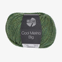 Lana Grossa Cool Merino Big 204 Groen