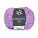 Lana Grossa Cool Merino Big 209