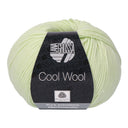 Lana Grossa Cool Wool 2077 Pastelgroen