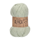 DROPS Alpaca Uni Color 9030 Pistachio Ice Cream