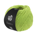 Lana Grossa Elastico 084 Pistache