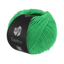 Lana Grossa Elastico 094 Groen
