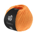 Lana Grossa Elastico 158 Apricot