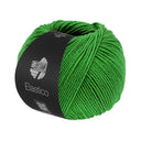 Lana Grossa Elastico 189 Spring Green