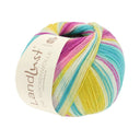 Lana Grossa Landlust Die Sockenwolle 113 Colored Stripes