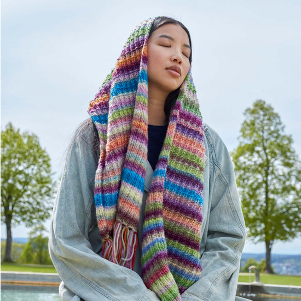 Lang Yarns Cloud 012 Kastanje/Petroleum (4)