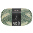 Lana Grossa Meilenweit 6-Ply 150 Duo 9725 Green/Light Grey