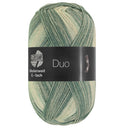 Lana Grossa Meilenweit 6-Ply 150 Duo 9725 Green/Light Grey