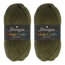 Scheepjes Colour Crafter Solid Pack 2x150g Arnhem