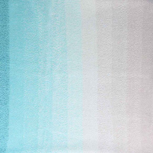 Scheepjes Cotton Whirl