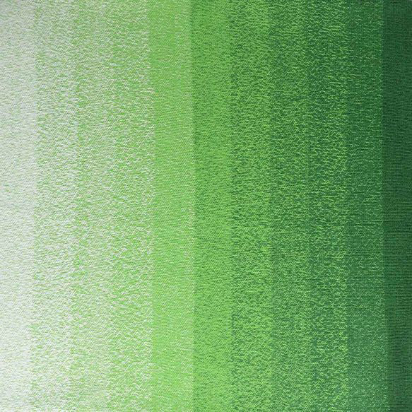 Scheepjes Cotton Whirl