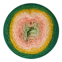 Scheepjes Cotton Whirl 732 Color Me Crafty