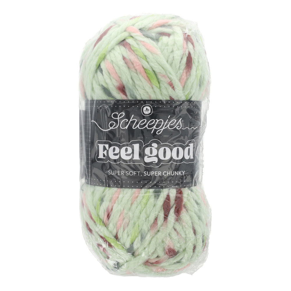 Scheepjes Feel Good (2)