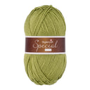 Stylecraft Special Aran 1065 Meadow