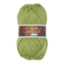 Stylecraft Special Chunky 1065 Meadow
