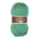 Stylecraft Special Chunky 1725 Sage