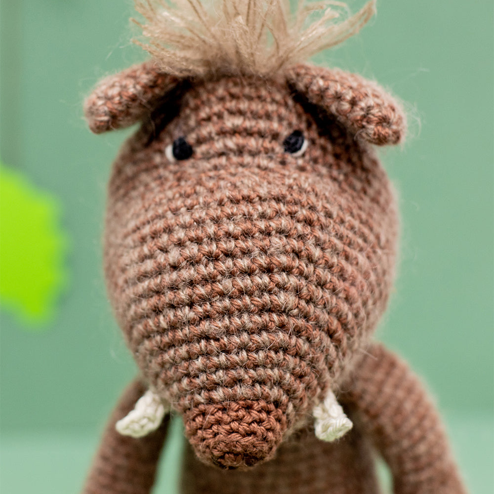 Yac forest animals — gemaakt met Yarn and Colors Boris Boar Haakpakket (2)