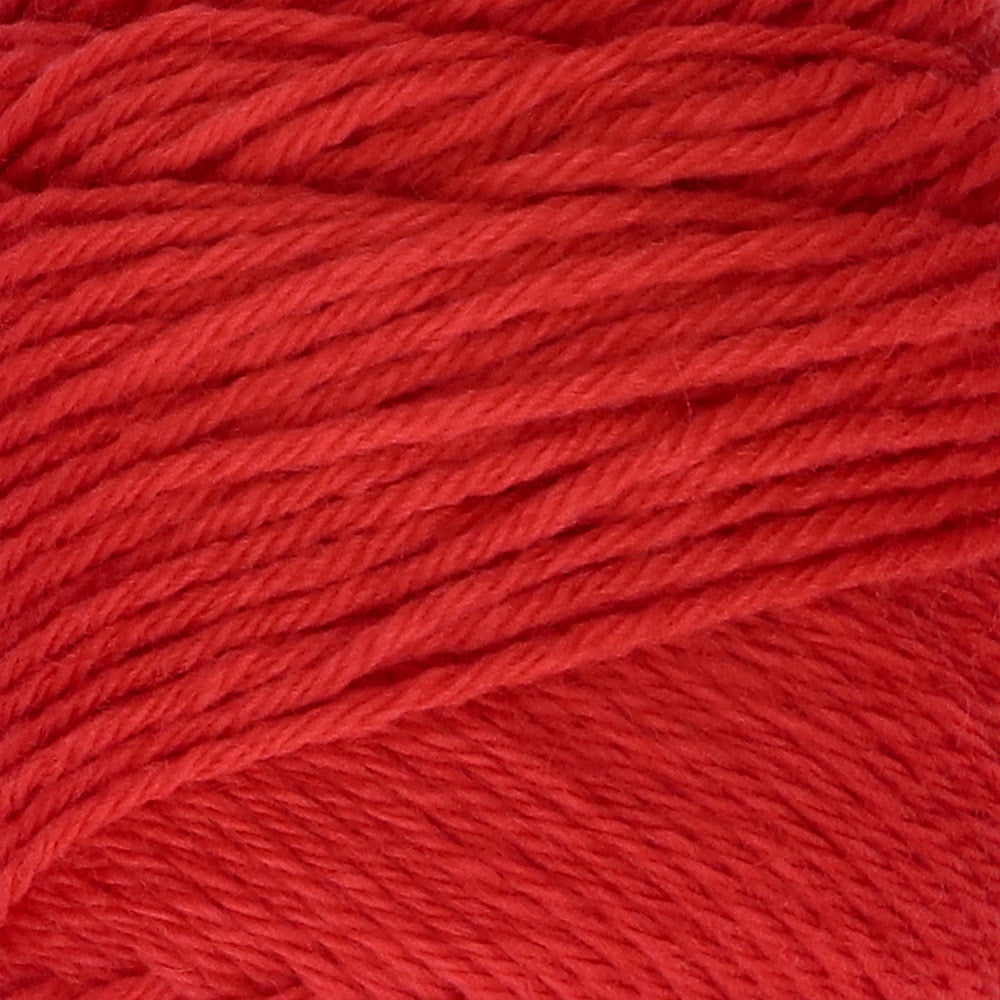 Yarn and Colors Joy