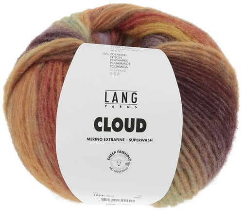Lang Yarns Cloud 017 Brown/Red/Mint