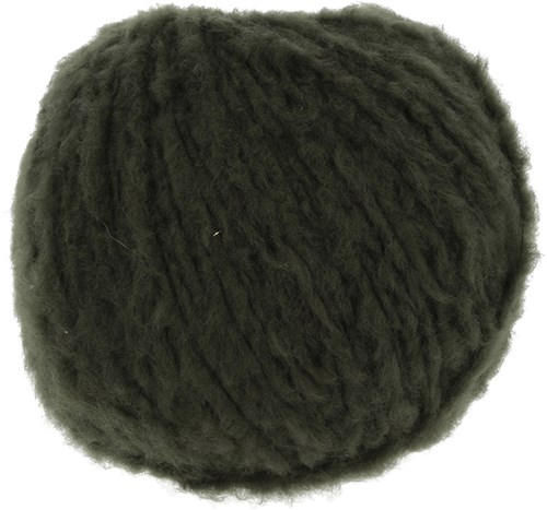 Lang Yarns Phoenix 0098 donkere olijf