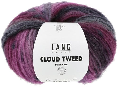 Lang Yarns Cloud Tweed 012 Fuchsia/Eggplant/Petrol
