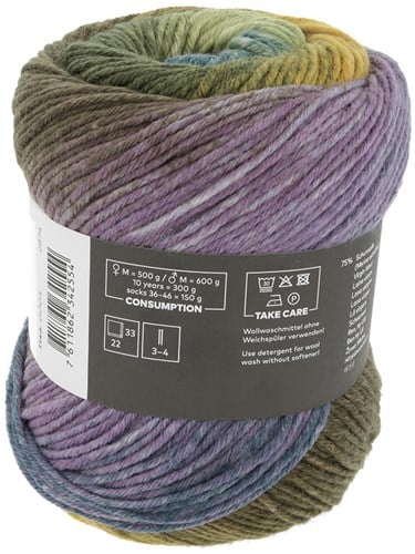 Lang Yarns Move 6-Fach 003 lila/petrol/olijf