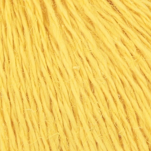 Ananas detailfoto