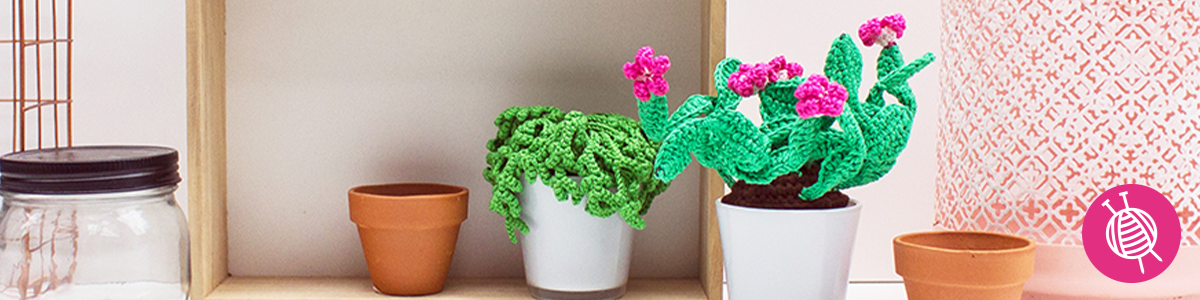 Crochet Succulents - The trend of this moment!