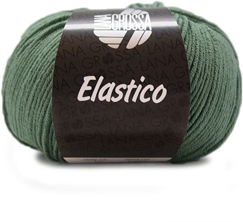 Lana Grossa Elastico 141 Reseda Green