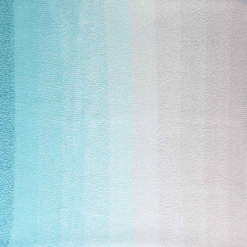 Scheepjes Cotton Whirl 706 Blueberry Frost-2