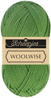 Scheepjes Woolwise 756 Agave Green