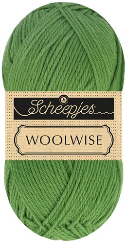 Scheepjes Woolwise 756 Agave Green