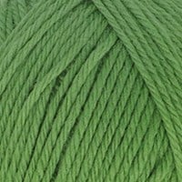 Scheepjes Woolwise 756 Agave Green-2