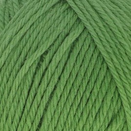 Scheepjes Woolwise 756 Agave Green-2